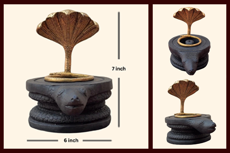 அநாதி நாதர் சித்தர் வழிபாட்டு!